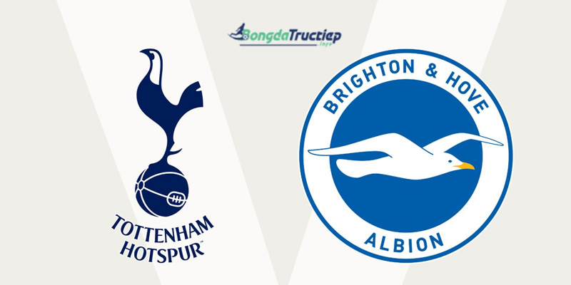 Soi kèo Tottenham vs Brighton 22h00 ngày 10/2/2024 – Premier League