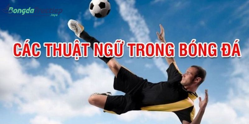 Thuật ngữ bóng đá trong tiếng Việt